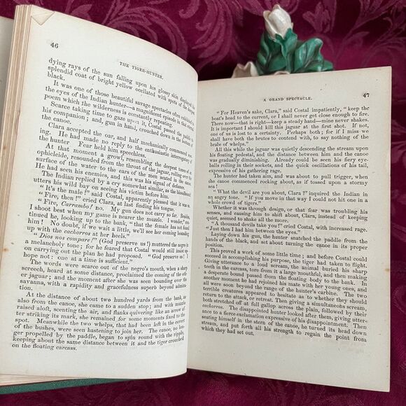 1865 The Tiger-Hunter; or, A Hero in Spite of Himself by Capt. Mayne Reid - Picture 6 of 10